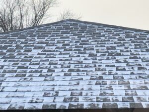 From Snow to Shingles